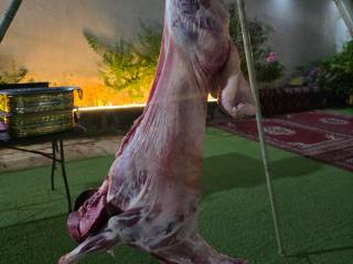 خدمه الشواء خارجي تبوك 3